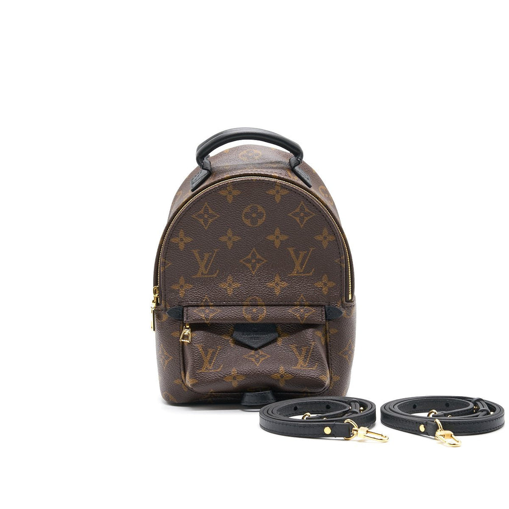 LOUIS VUITTON PALM SPRINGS MINI