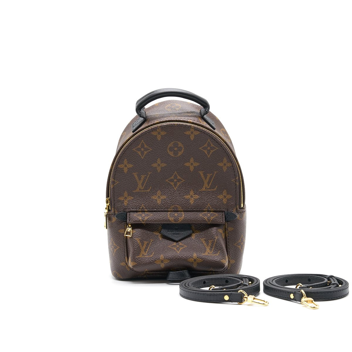 LOUIS VUITTON PALM SPRINGS MINI