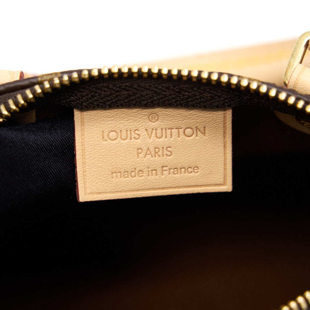 LOUIS VUITTON SPEEDY NANO LAXXXX