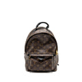 LOUIS VUITTON PALM SPRING PM BACKPACK MONOGRAM CANVAS GHW