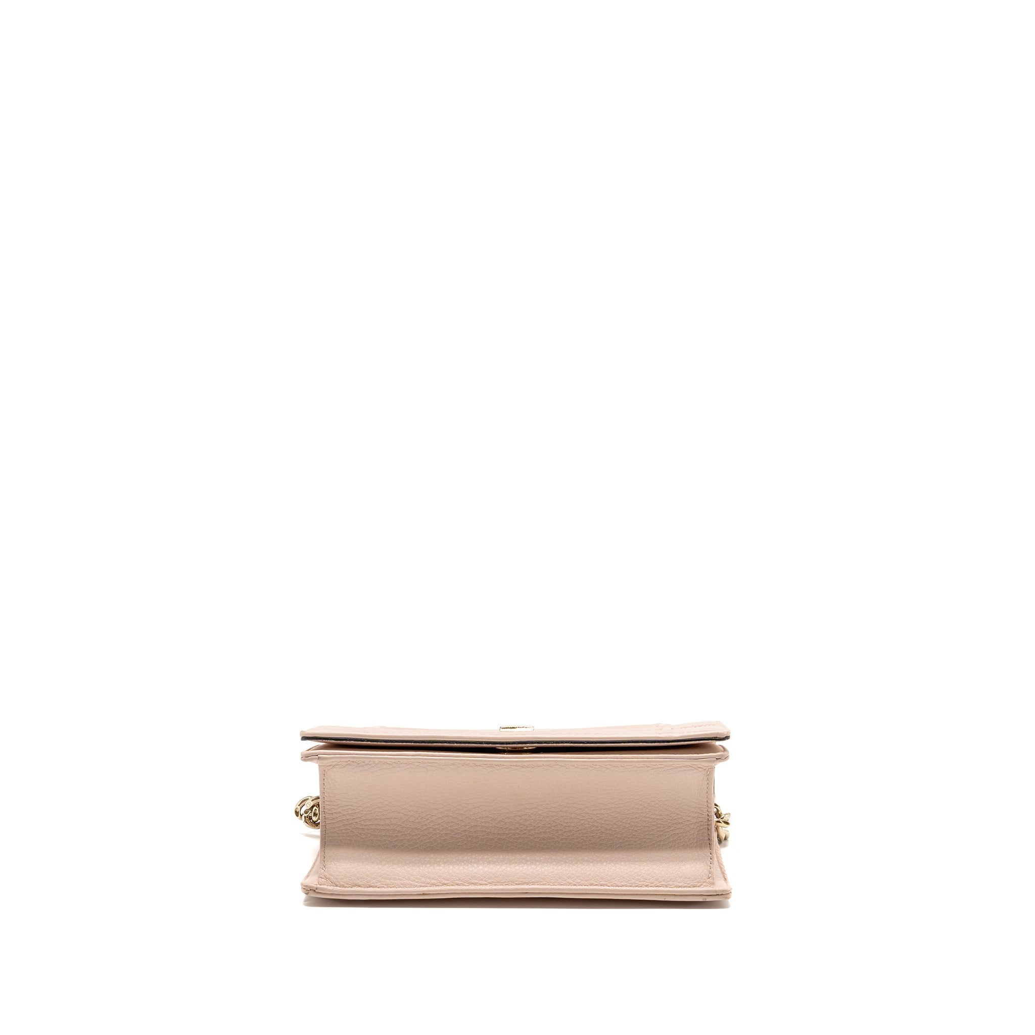DIOR SMALL DIORAMA GRAINED CALFSKIN LIGHT PINK LGHW