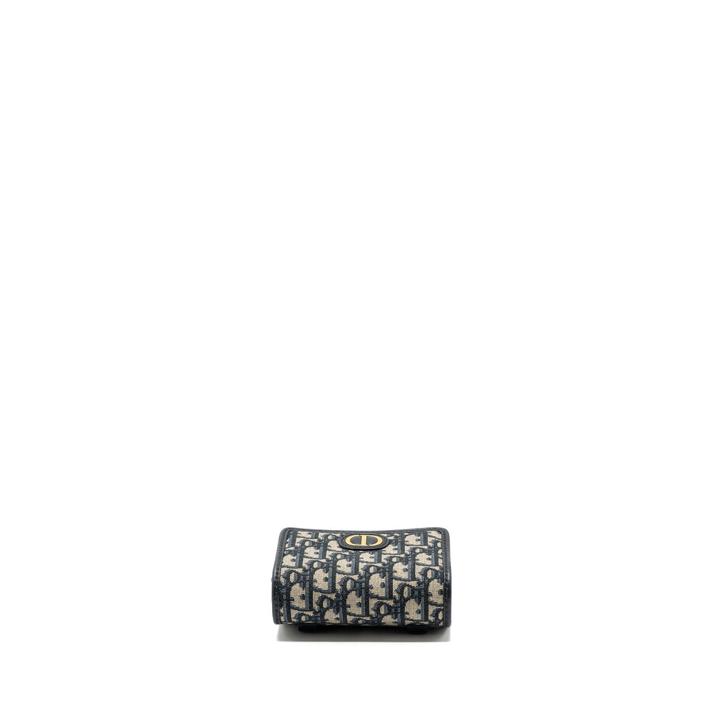 DIOR 30 MONTAIGNE POUCH WITH CHAIN CANVAS BLUE OBLIQUE GHW