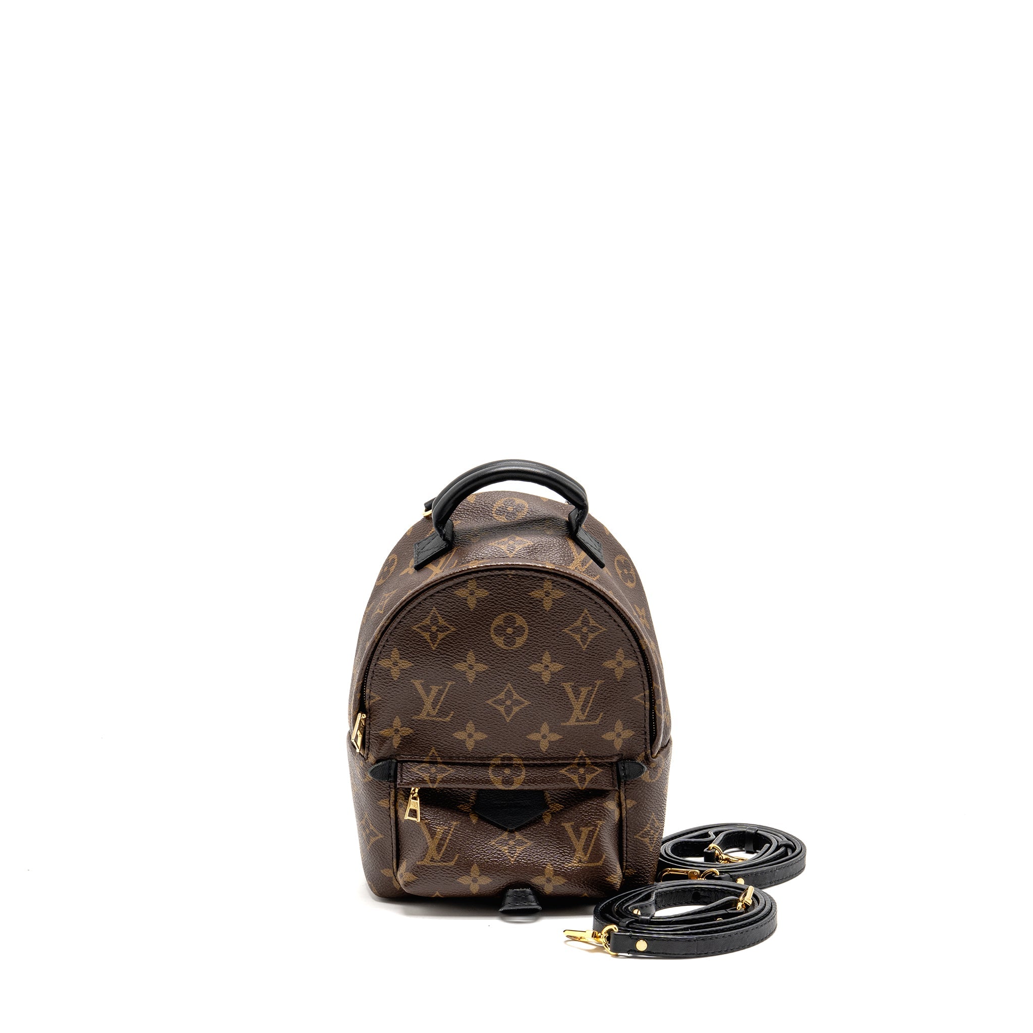LOUIS VUITTON MINI PALM SPRING BACKPACK MONOGRAM CANVAS GHW