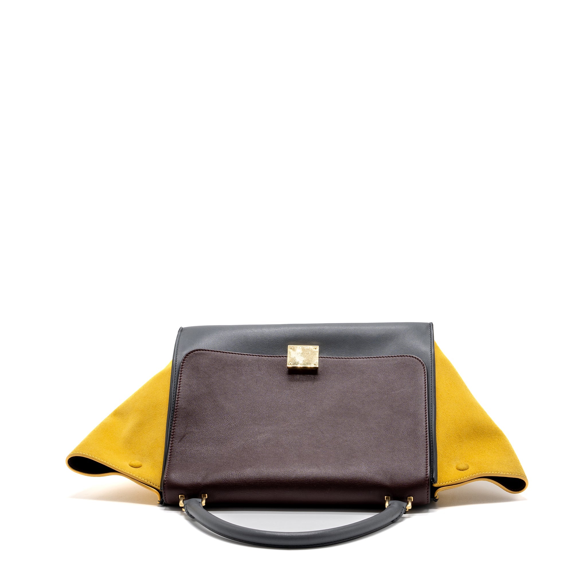 CELINE TRAPEZE BAG MULTICOLOURED GHW