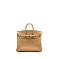 HERMES BIRKIN 25 TOUCH TOGO/ALLIGATOR MISSISSIPPIENSIS MAT CHAI LGHW