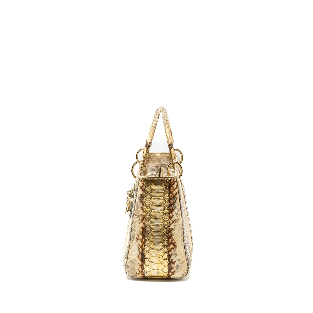 DIOR MEDIUM LADY DIOR PYTHON MULTICOLOUR LGHW