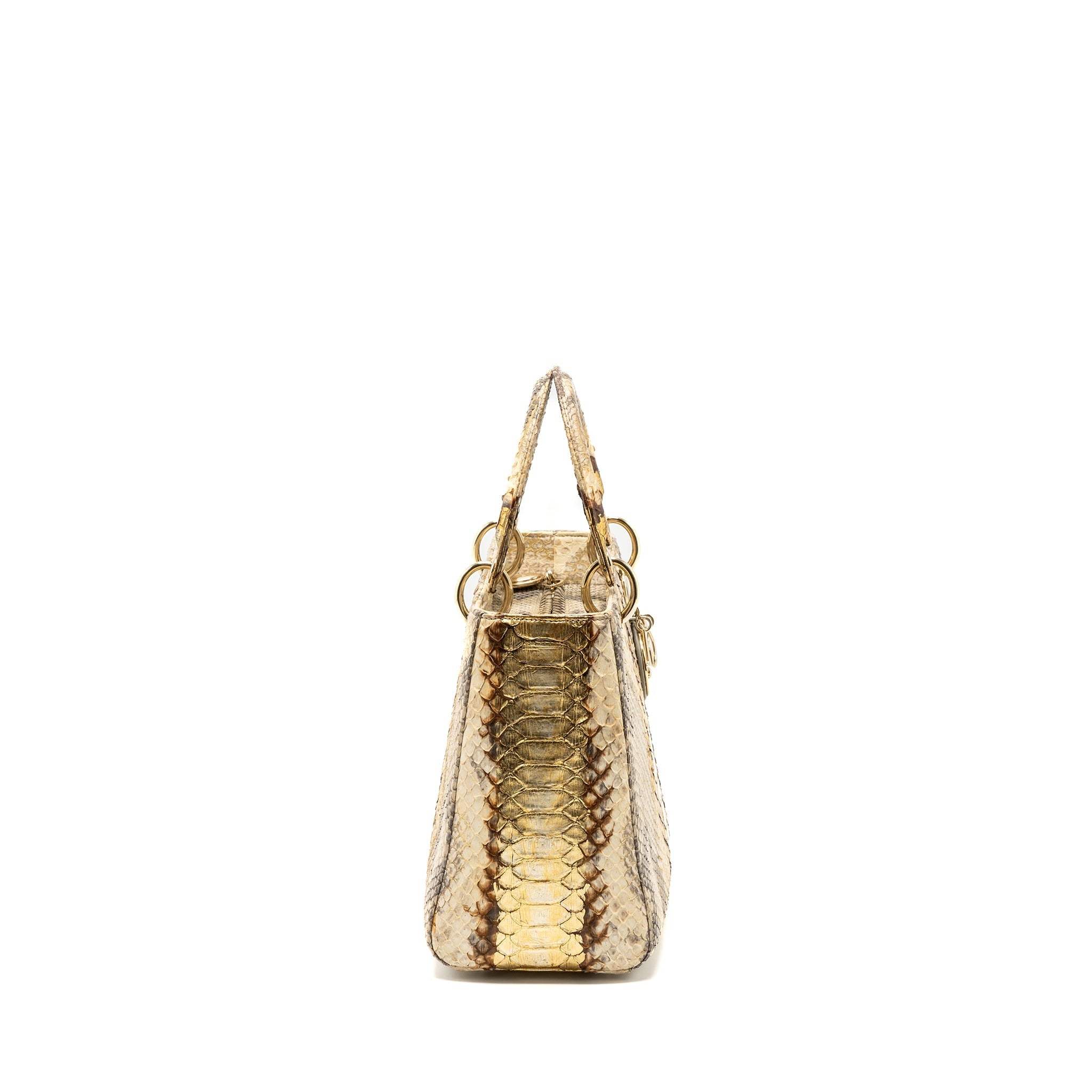 DIOR MEDIUM LADY DIOR PYTHON MULTICOLOUR LGHW