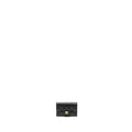 CHANEL CLASSIC FLAP CARD HOLDER CAVIAR BLACK GHW (MICROCHIP)