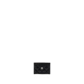 CHANEL CLASSIC CARD HOLDER CAVIAR BLACK SHW( MICROCHIP)