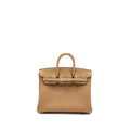 HERMES TOUCH BIRKIN 25 ALLIGATOR MISSISSIPPIENSIS/TOGO CHAI LGHW