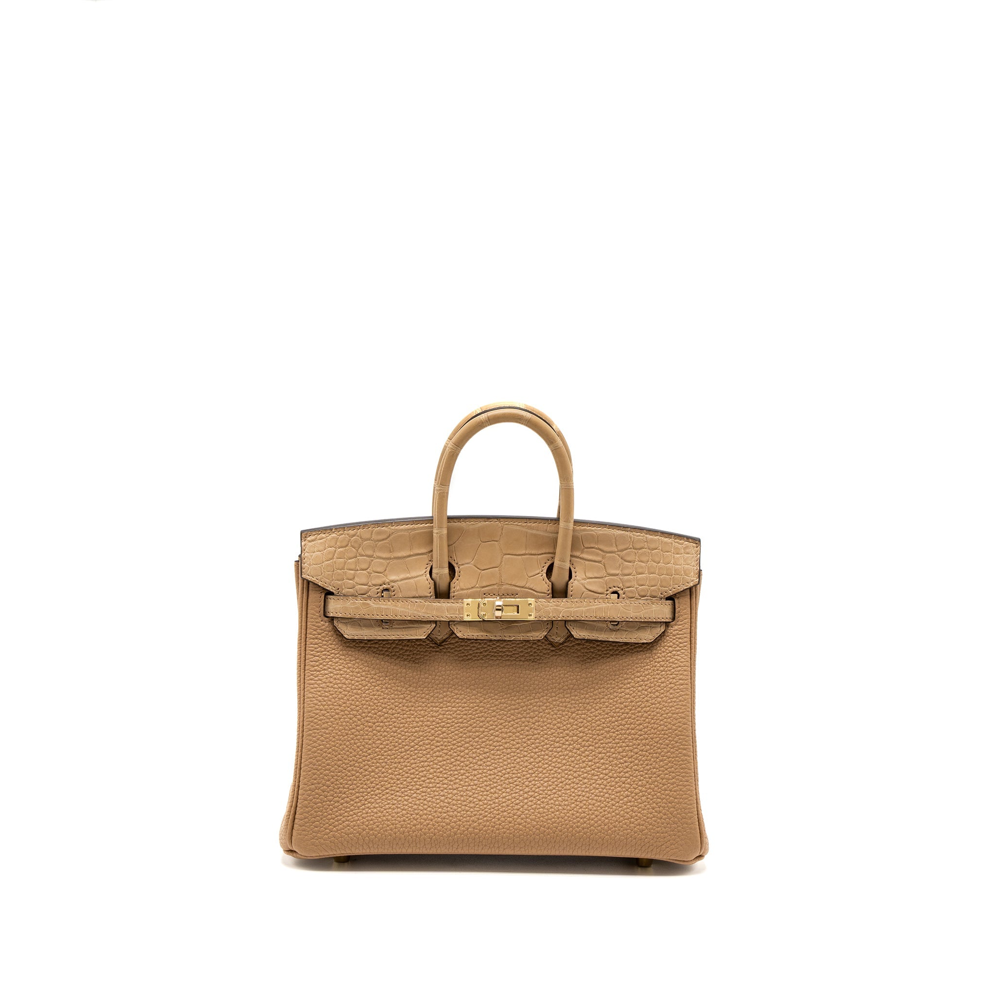 HERMES TOUCH BIRKIN 25 ALLIGATOR MISSISSIPPIENSIS/TOGO CHAI LGHW