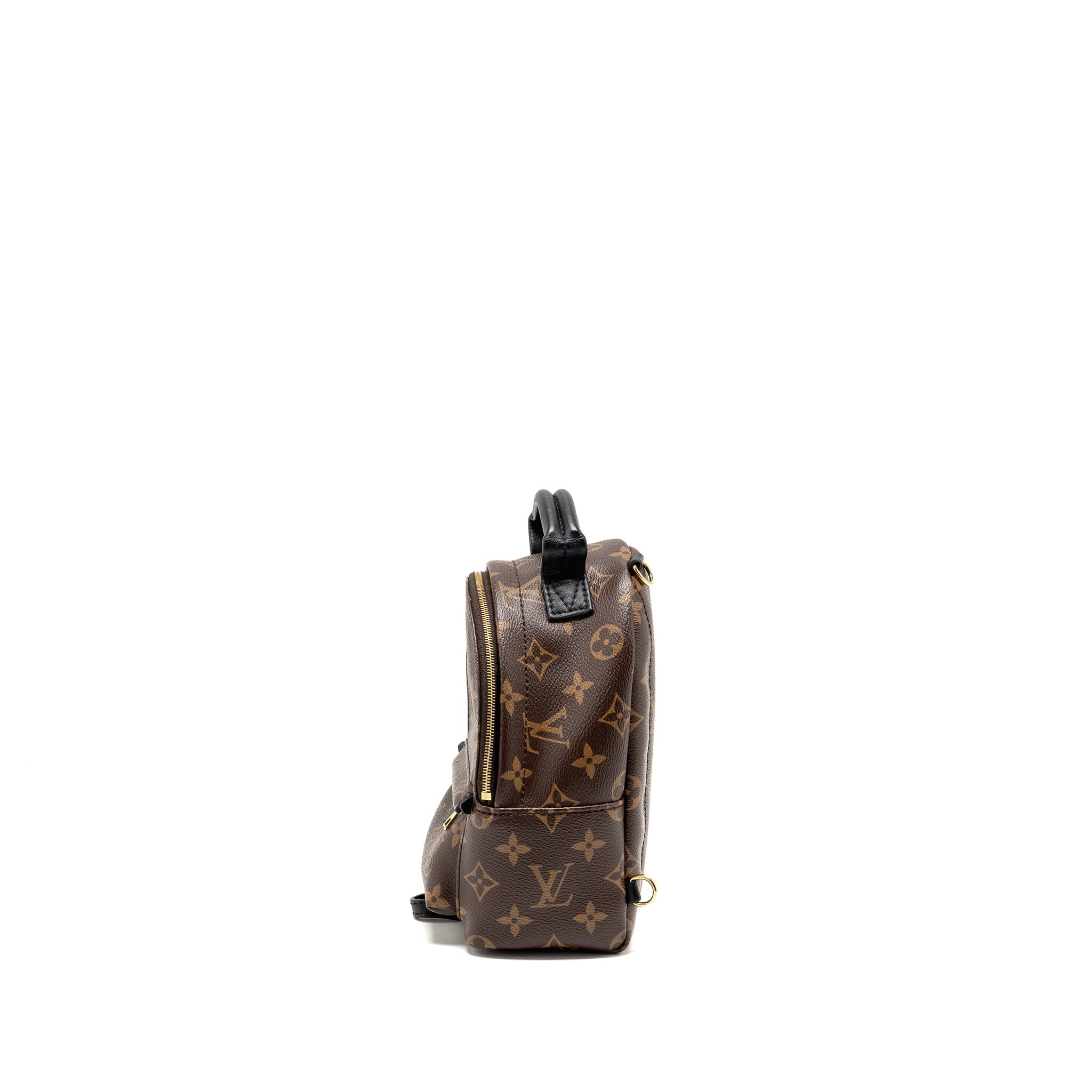 LOUIS VUITTON PALM SPRINGS MINI MONOGRAM CANVAS GHW