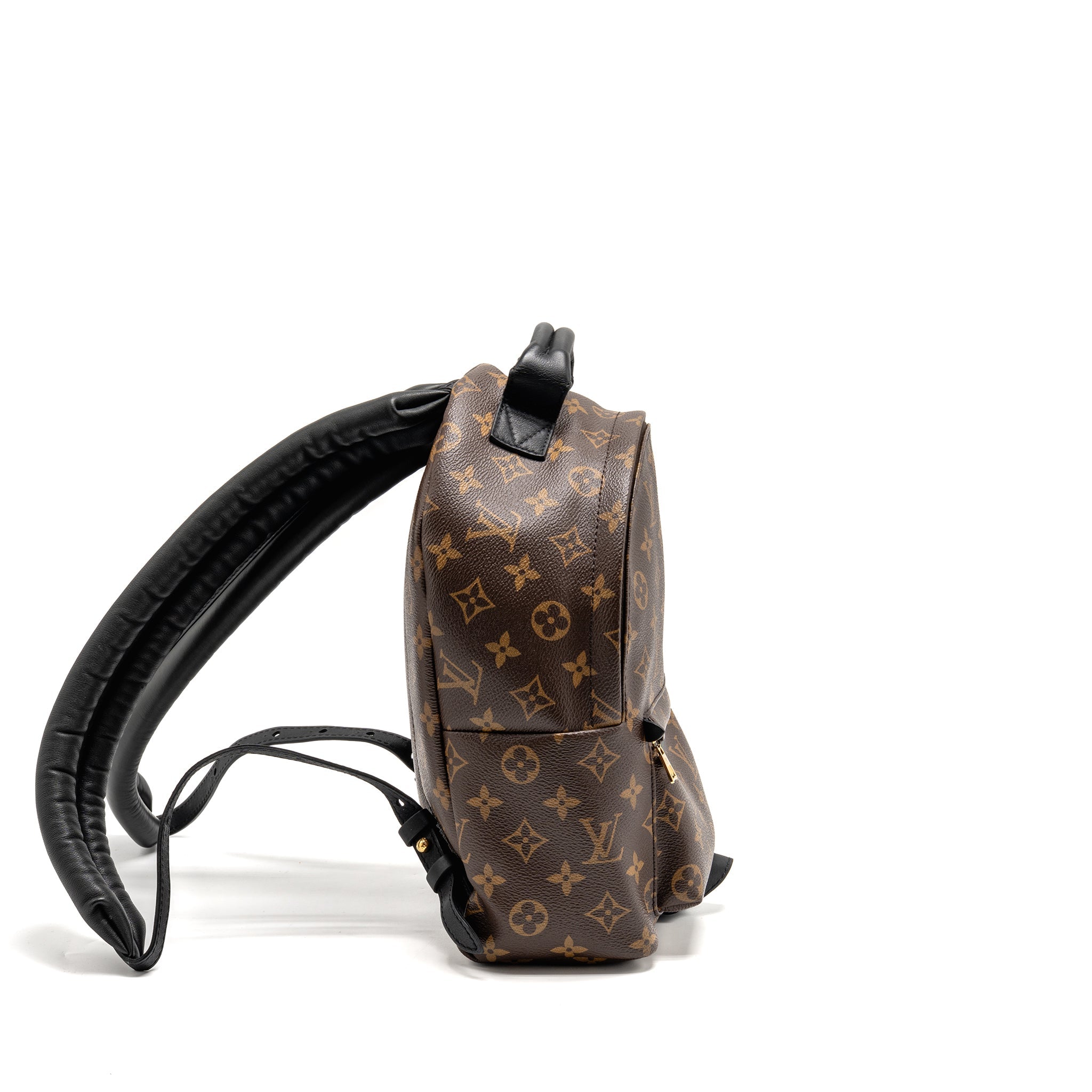 LOUIS VUITTON PALM SPRING PM BACKPACK MONOGRAM CANVAS GHW