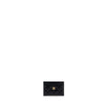 CHANEL CLASSIC CARD HOLDER CAVIAR BLACK GHW (MICROCHIP)