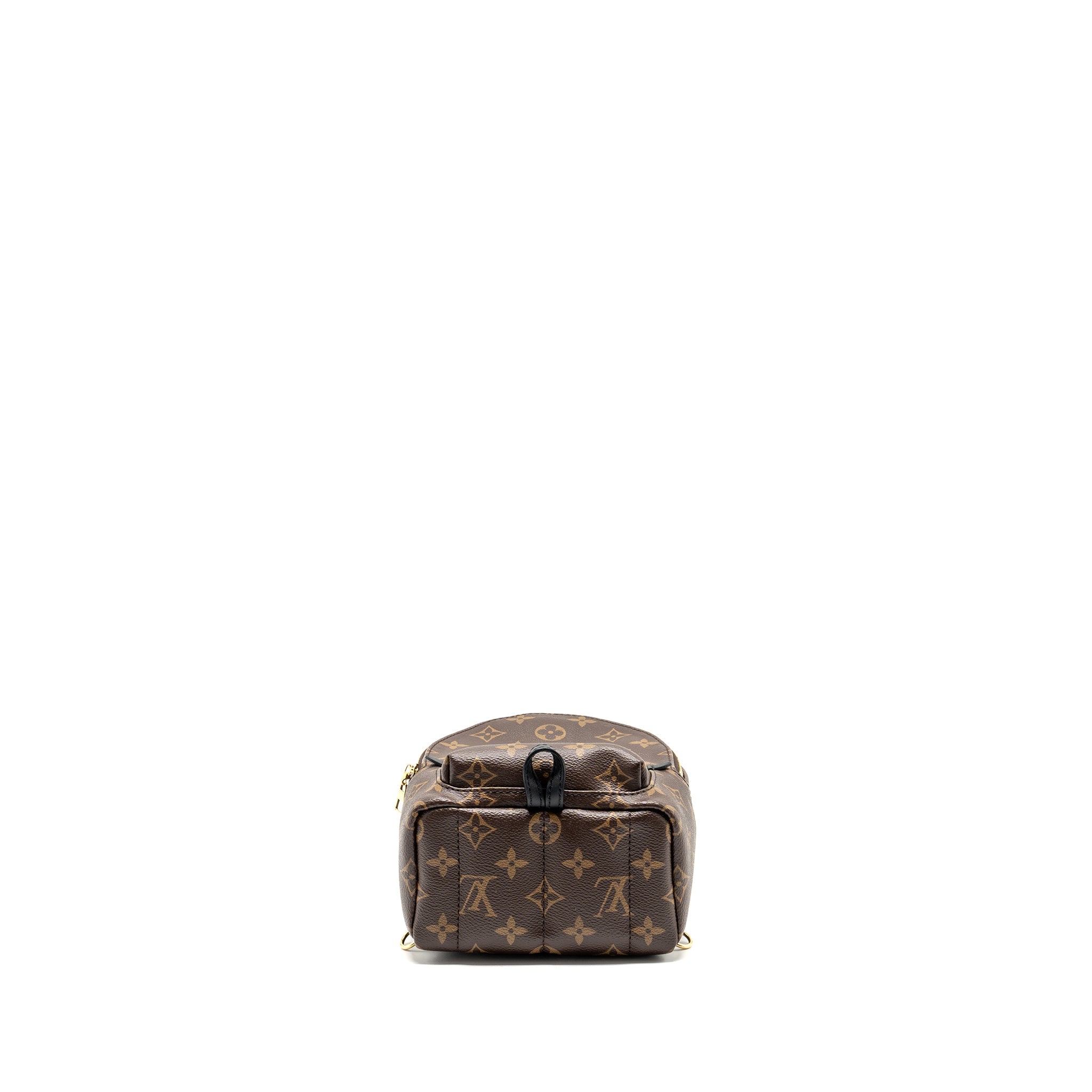 LOUIS VUITTON PALM SPRING MINI BACKPACK MONOGRAM CANVAS
