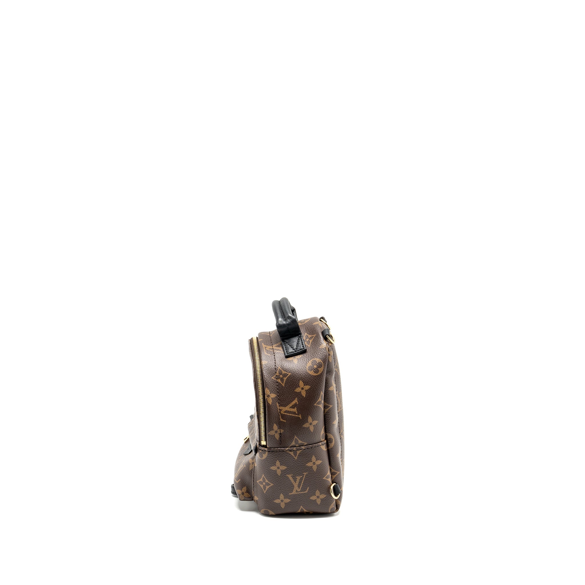 LOUIS VUITTON PALM SPRING MINI BACKPACK MONOGRAM CANVAS