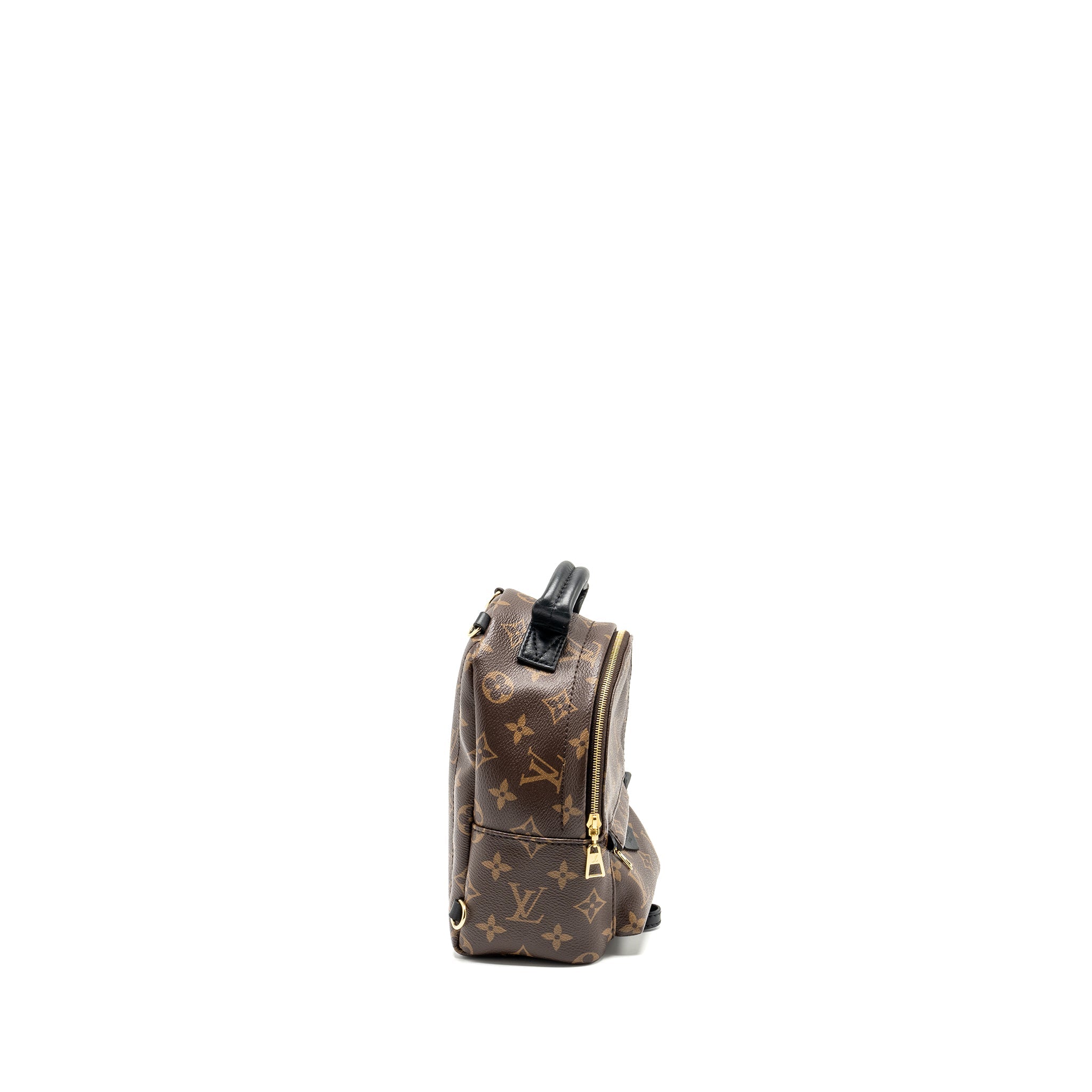 LOUIS VUITTON PALM SPRING MINI BACKPACK MONOGRAM CANVAS