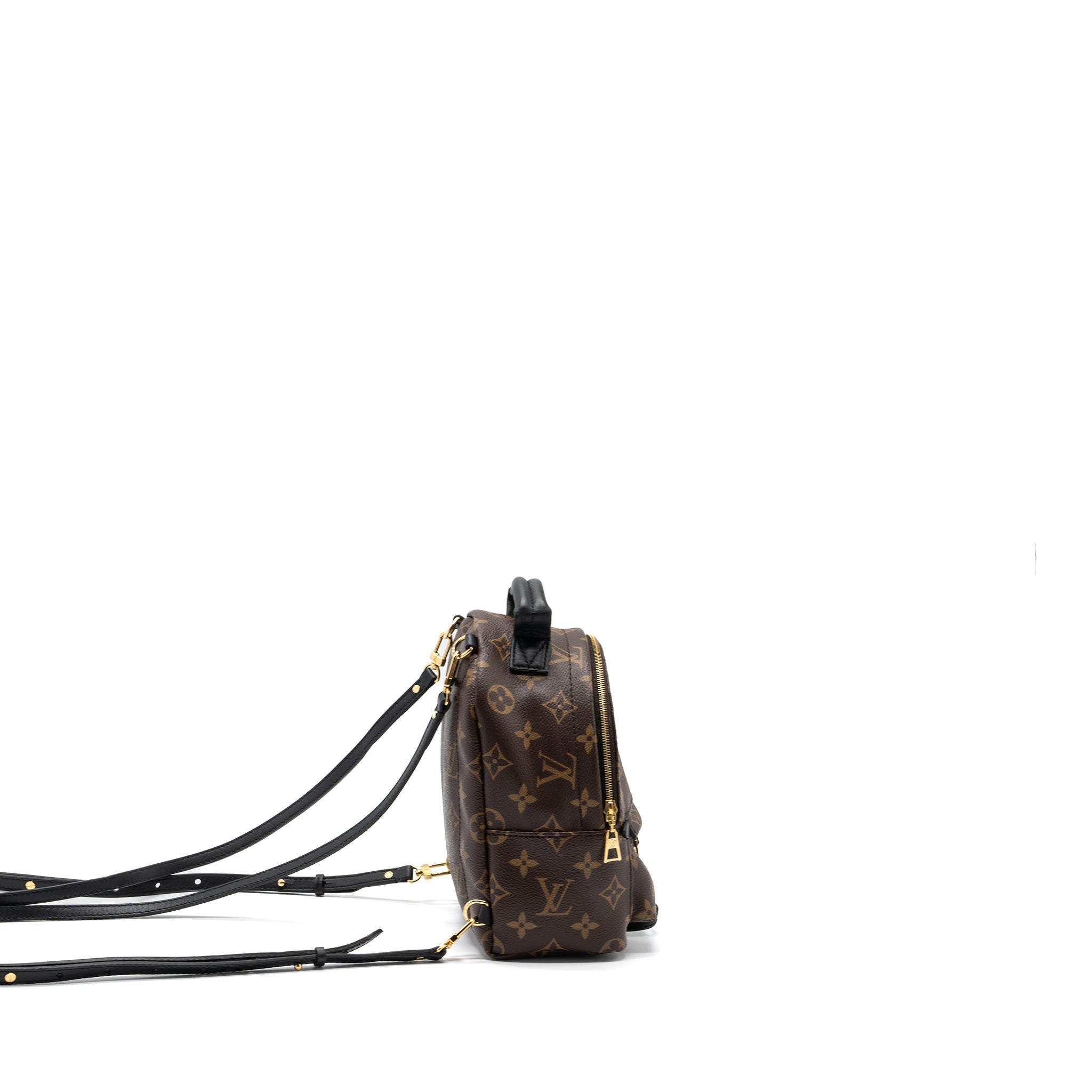 LOUIS VUITTON PALM SPRING MINI BACKPACK MONOGRAM CANVAS GHW (NEW VERSION)