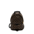 LOUIS VUITTON PALM SPRING BACKPACK PM MONOGRAM CANVAS GHW