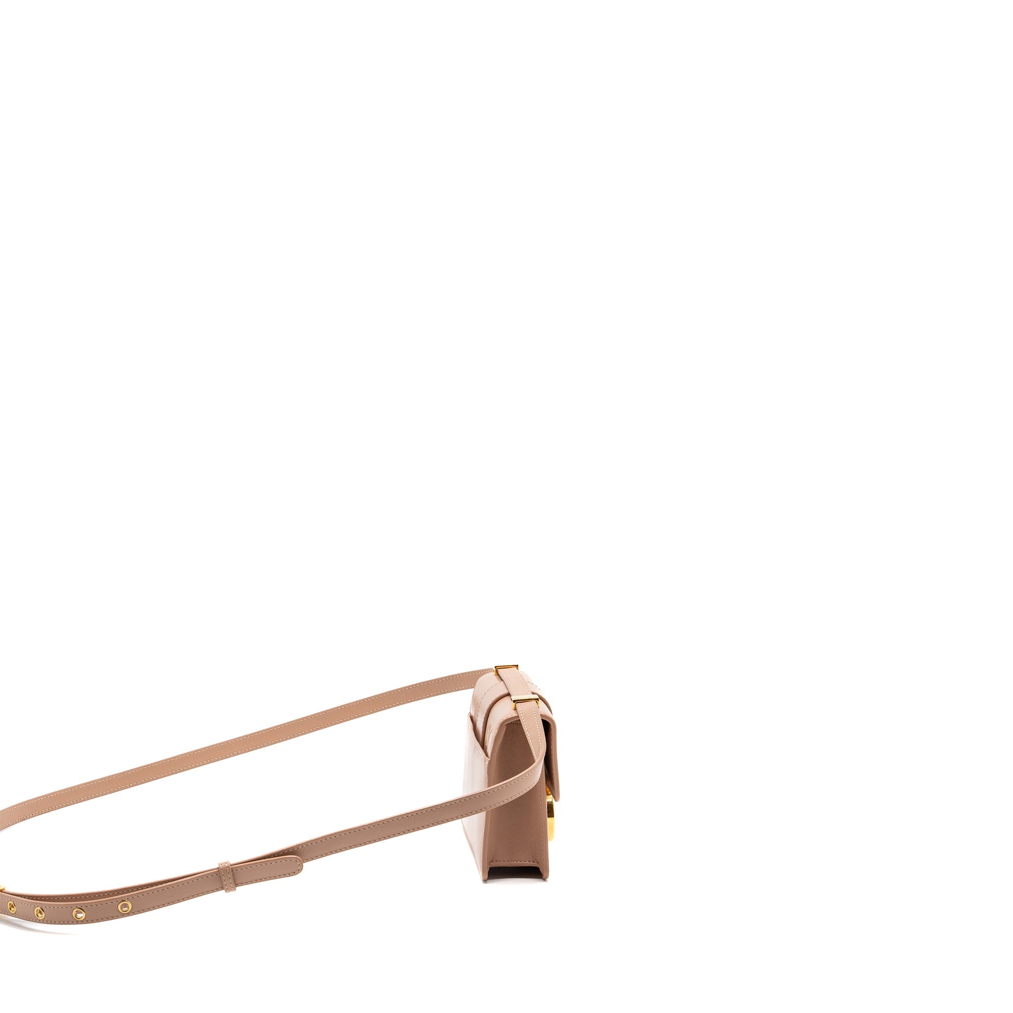 DIOR MICRO 30 MONTAIGNE BOX BAG CALFSKIN ROSE DES VENTS GHW