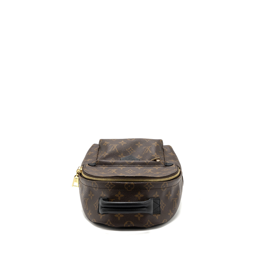 LOUIS VUITTON PALM SPRING BACKPACK PM MONOGRAM CANVAS GHW