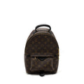 LOUIS VUITTON PALM SPRING BACKPACK PM MONOGRAM CANVAS GHW