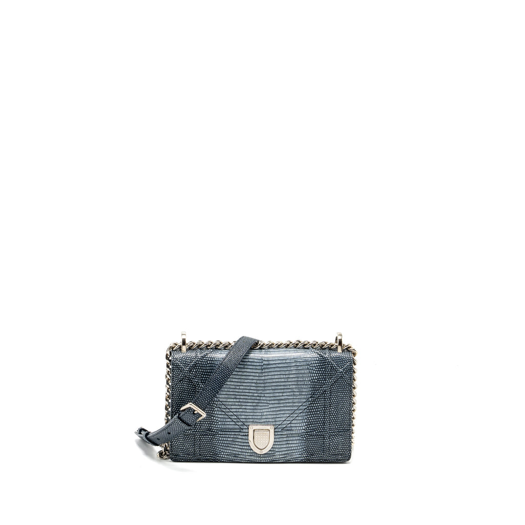 DIOR SMALL DIORAMA LIZARD SILVER/MULTICOLOUR SHW