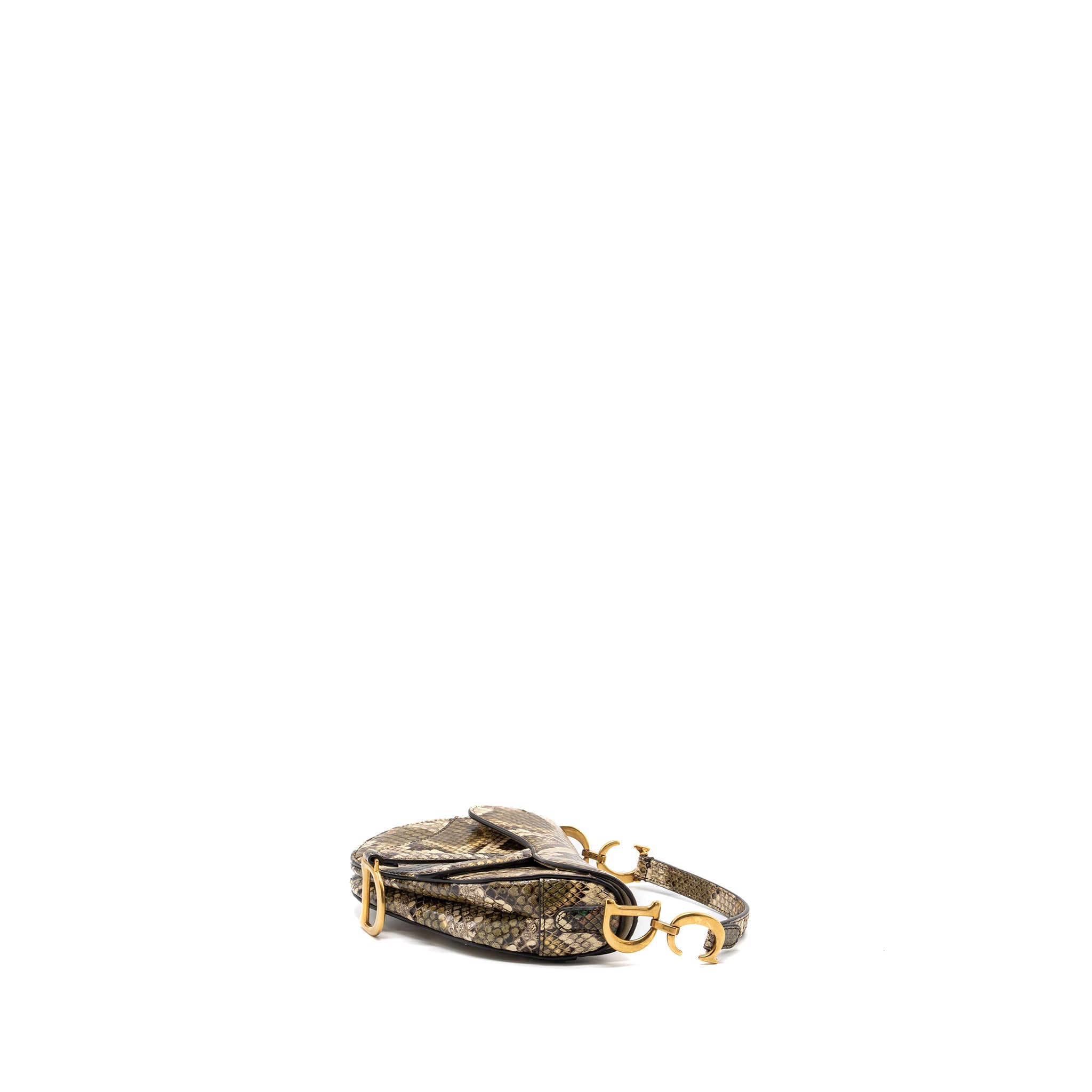 DIOR MINI SADDLE BAG PYTHON MULTICOLOUR GHW