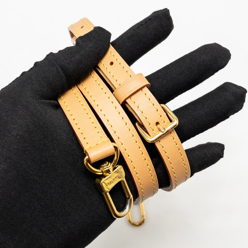 LOUIS VUITTON NANO SPEEDY MONOGRAM CANVAS GHW