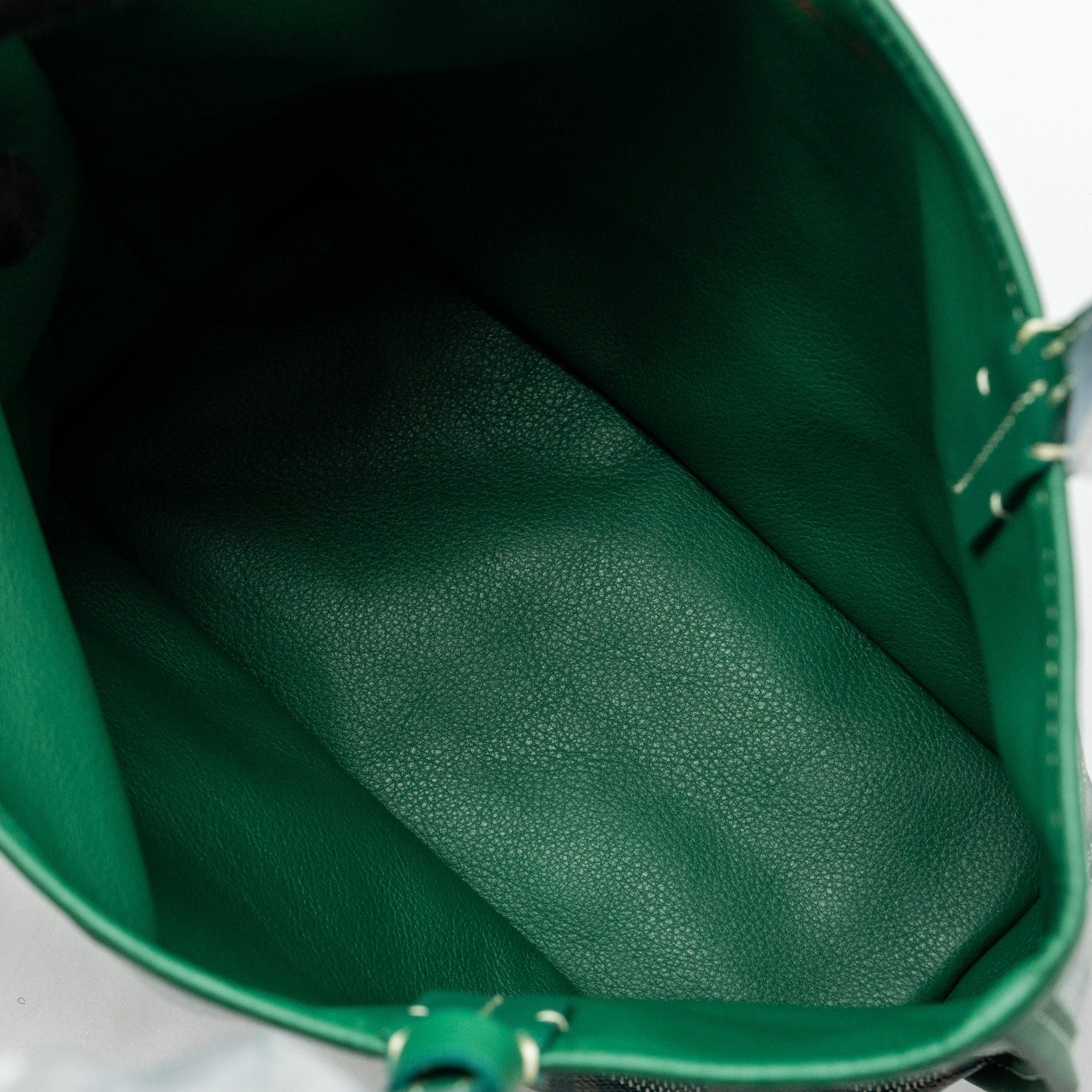 GOYARD MINI ANJOU TOTE BAG GOYARDLINE CANVAS / CALFSKIN GREEN SHW