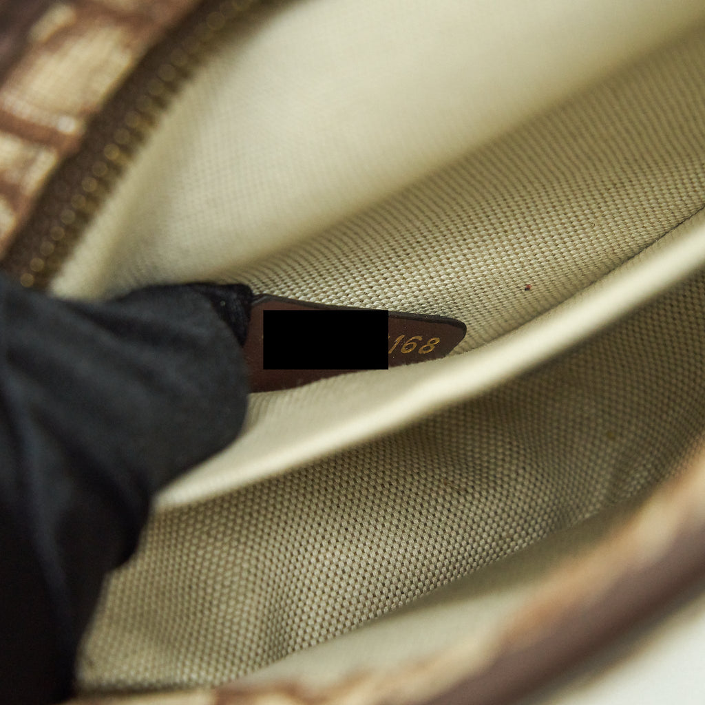 DIOR DIORQUAKE POUCH BROWN OBLIQUE CANVAS GHW