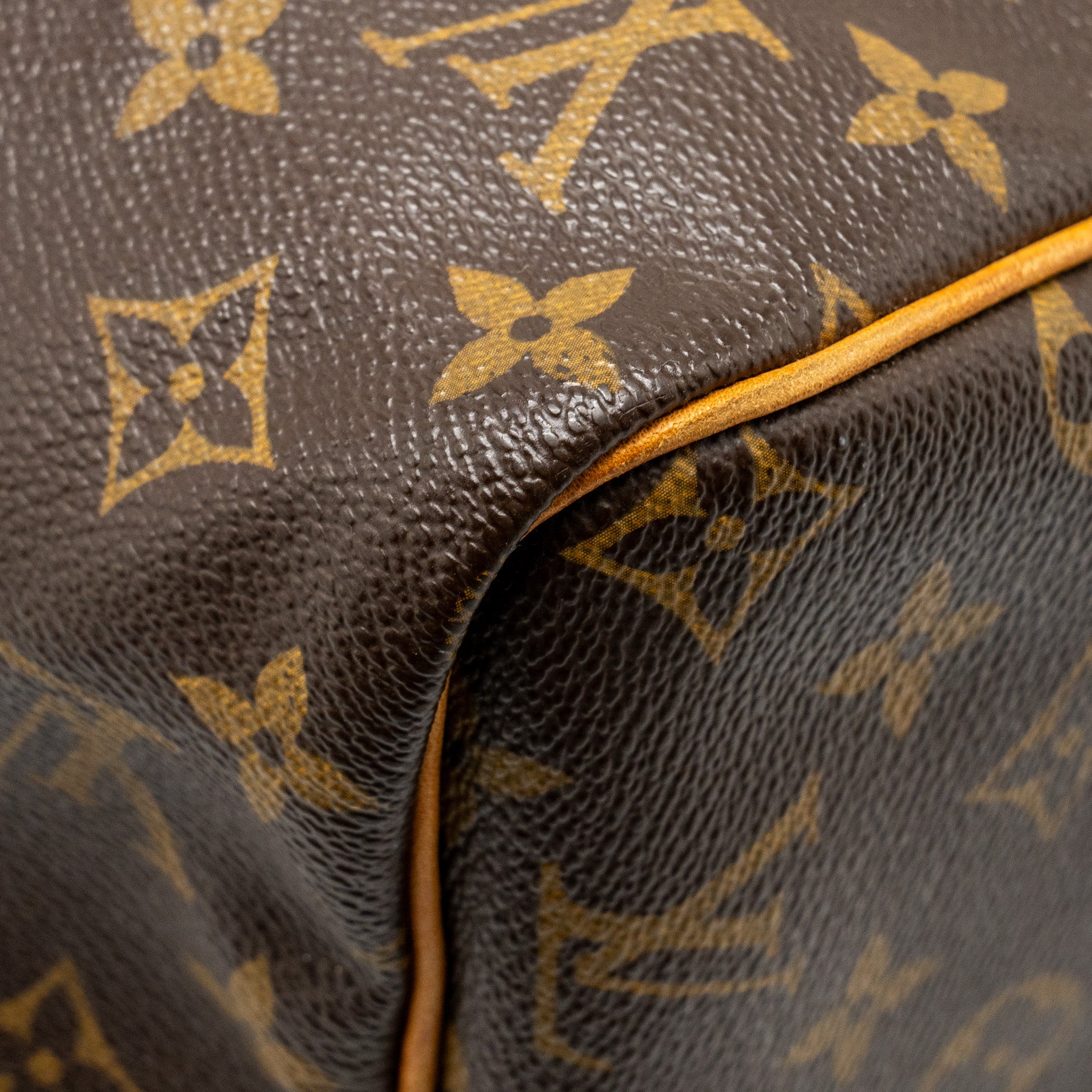 LOUIS VUITTON SPEEDY 30 MONOGRAM CANVAS GHW