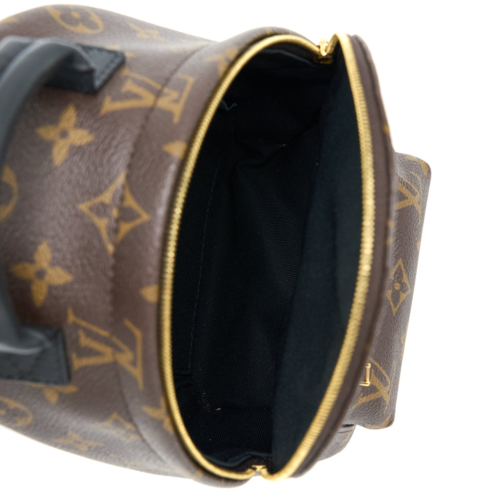 LOUIS VUITTON MINI PALM SPRING BACKPACK MONOGRAM CANVAS GHW