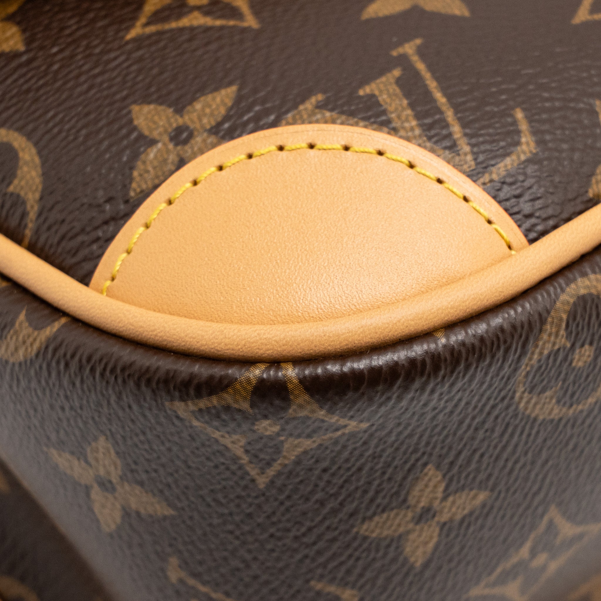LOUIS VUITTON DIANE BAG MONOGRAM CANVAS GHW