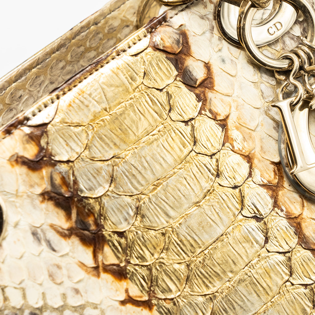 DIOR MEDIUM LADY DIOR PYTHON MULTICOLOUR LGHW