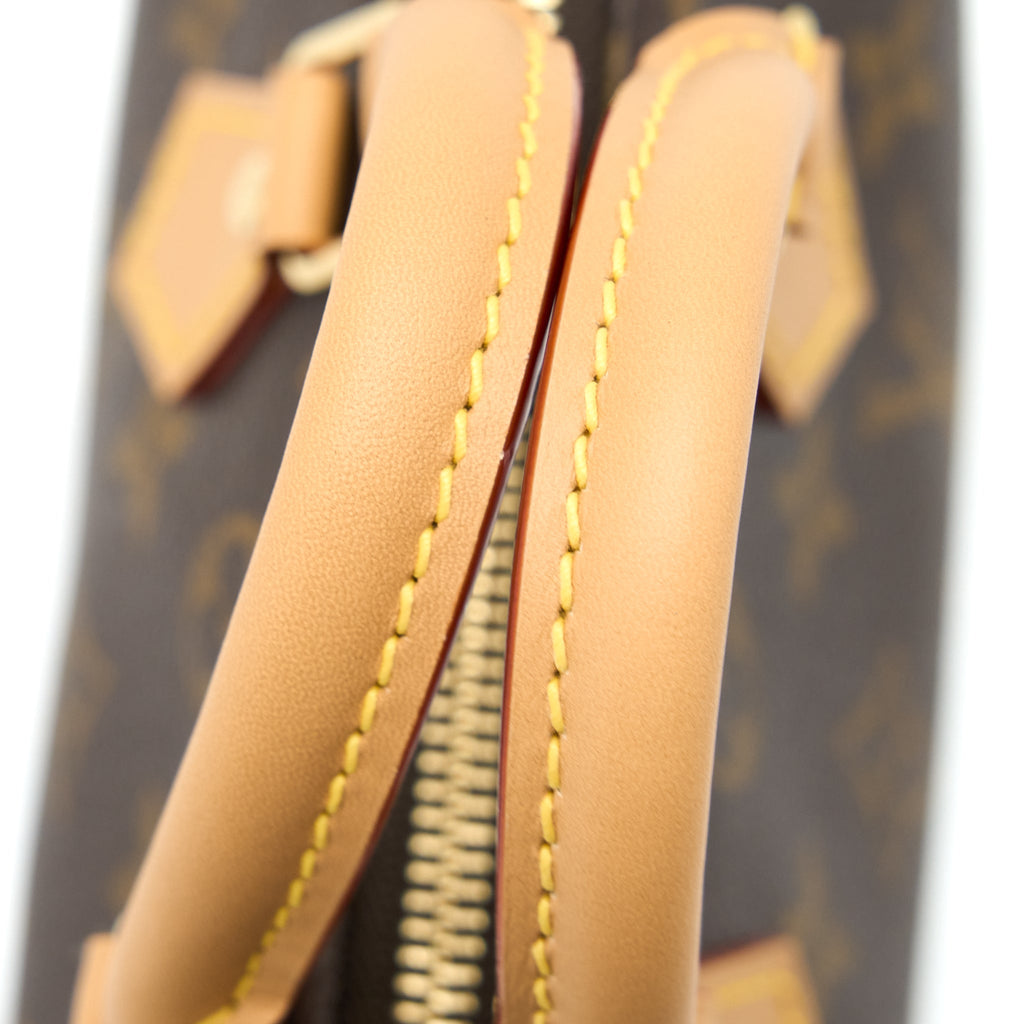 LOUIS VUITTON NANO SPEEDY MONOGRAM CANVAS GHW