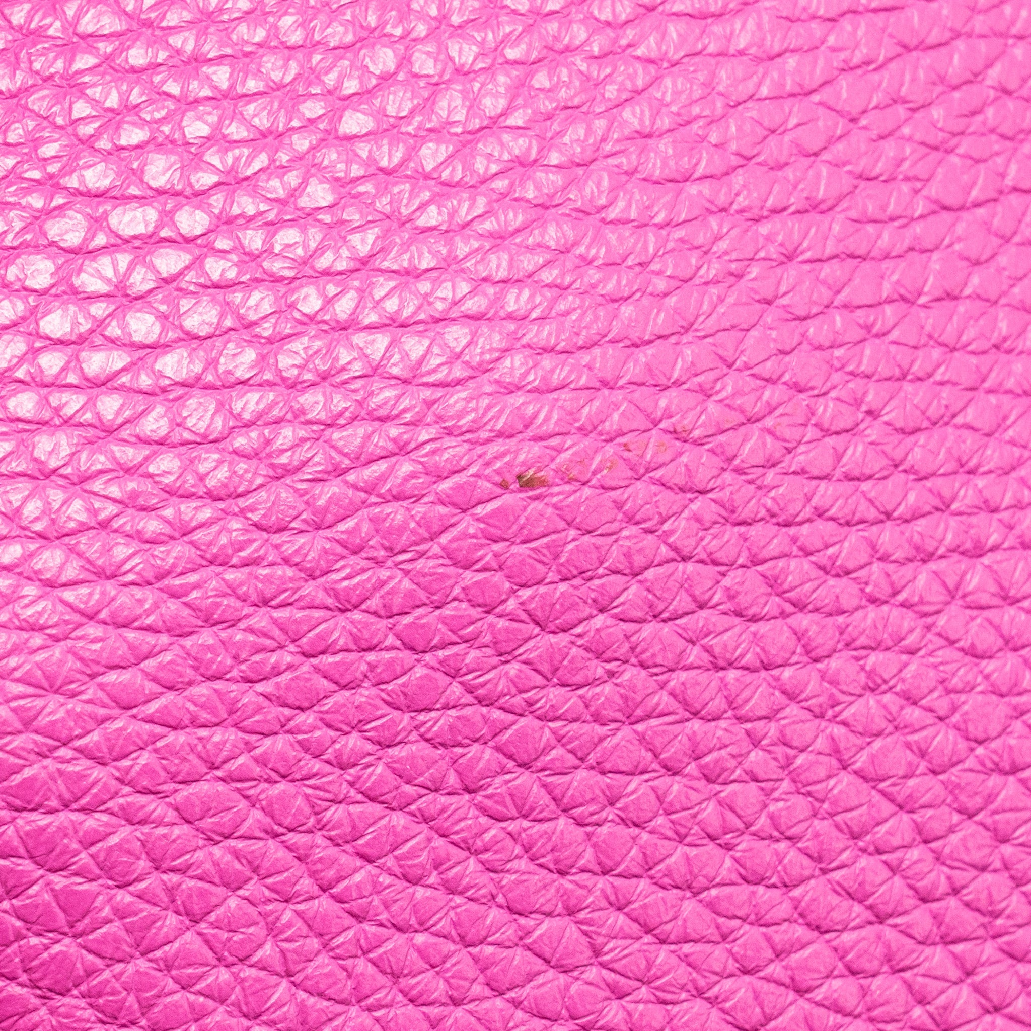HERMES PICOTIN 22 LOCK BAG CLEMENCE MAGNOLIA SHW
