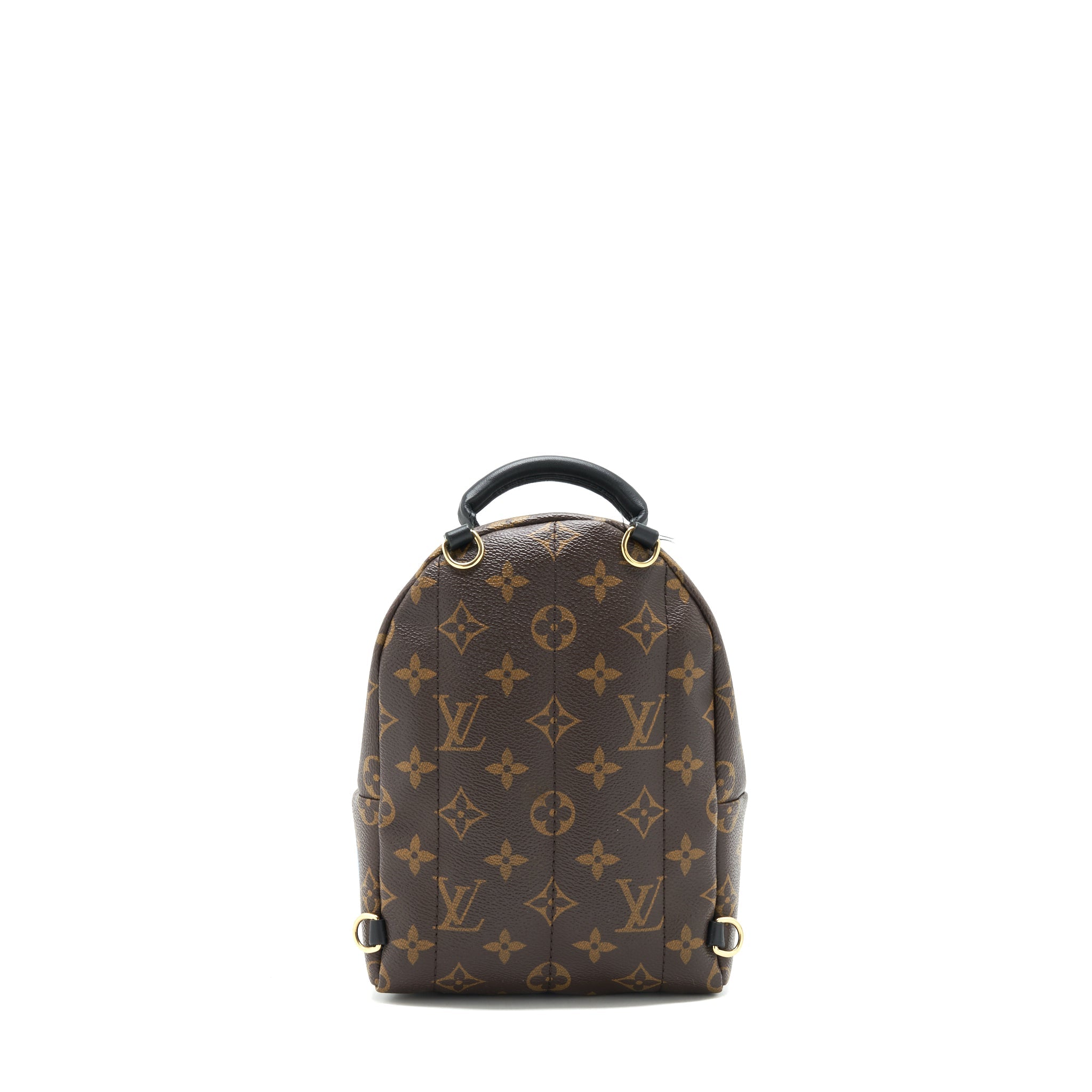 LOUIS VUITTON PALM SPRING MINI BACKPACK LIMITED EDITION