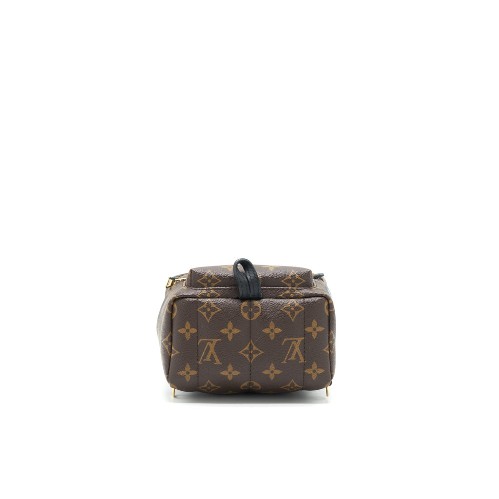 LOUIS VUITTON PALM SPRING MINI BACKPACK LIMITED EDITION