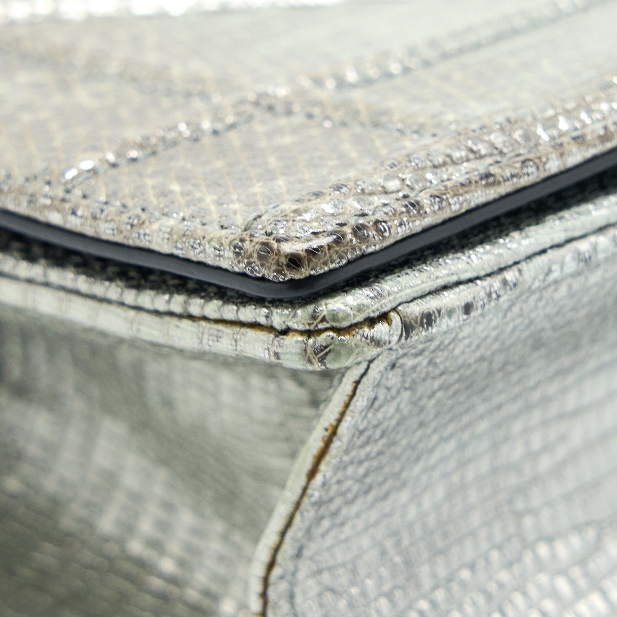 DIOR SMALL DIORAMA LIZARD METALLIC SILVER SHW
