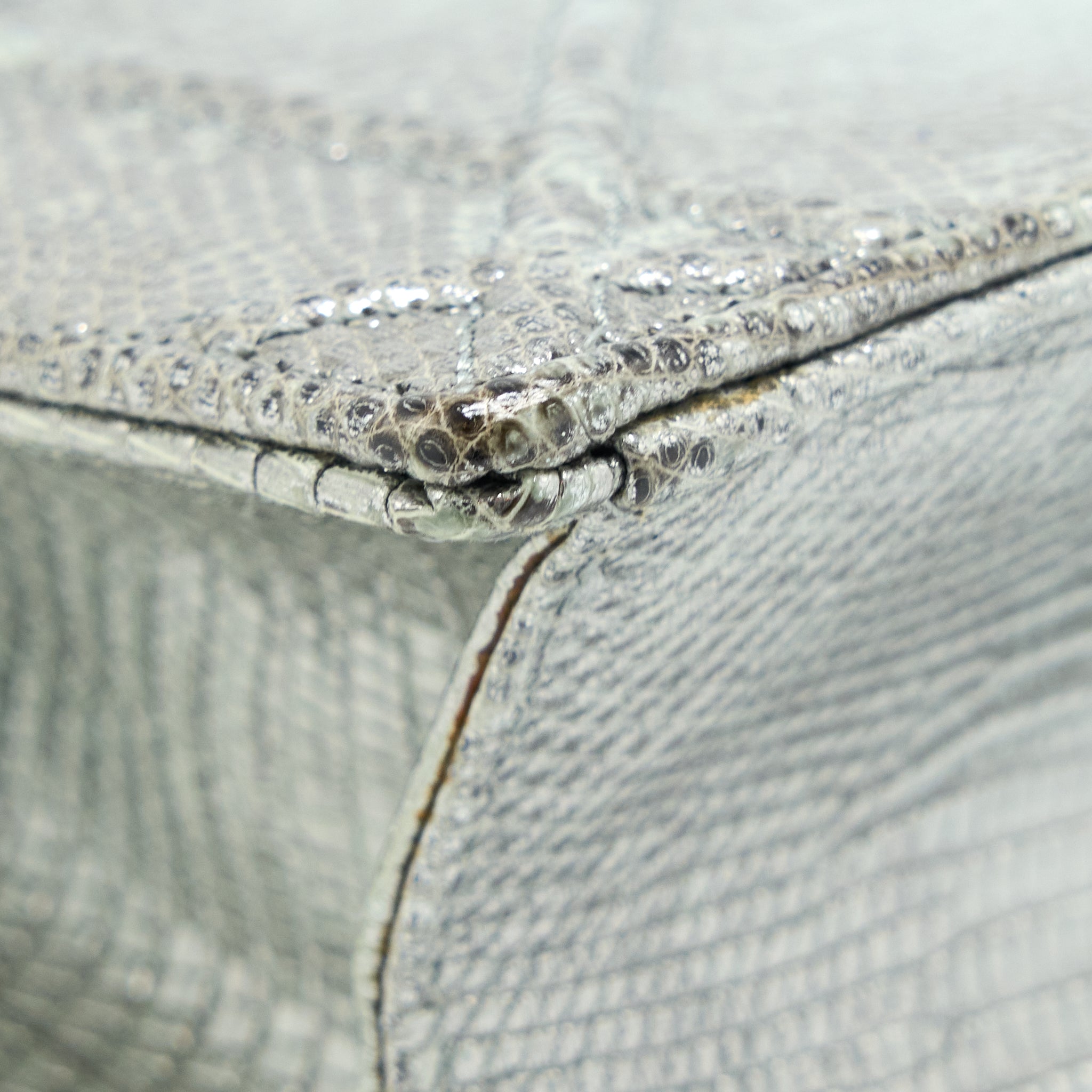 DIOR SMALL DIORAMA LIZARD METALLIC SILVER SHW