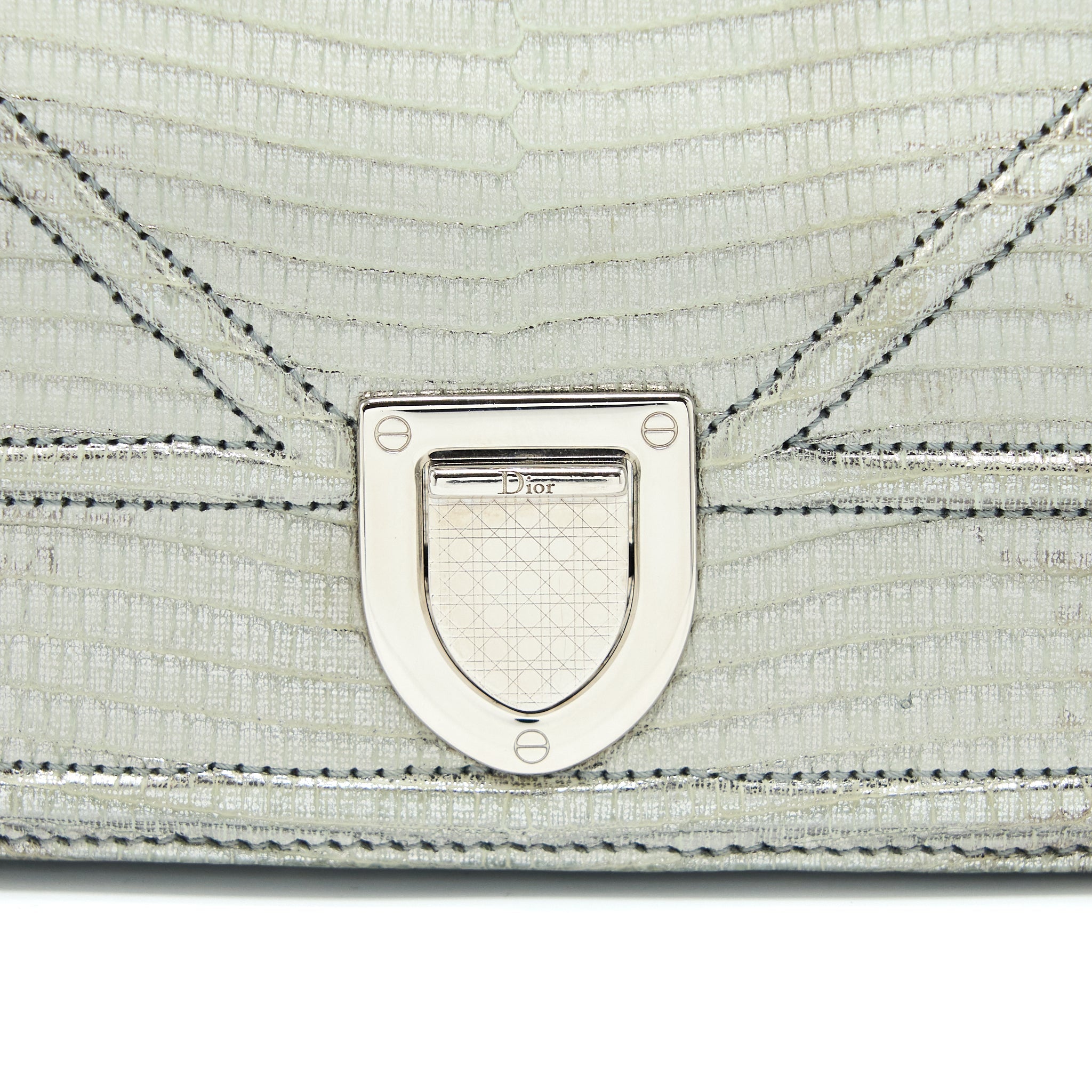 DIOR SMALL DIORAMA LIZARD METALLIC SILVER SHW