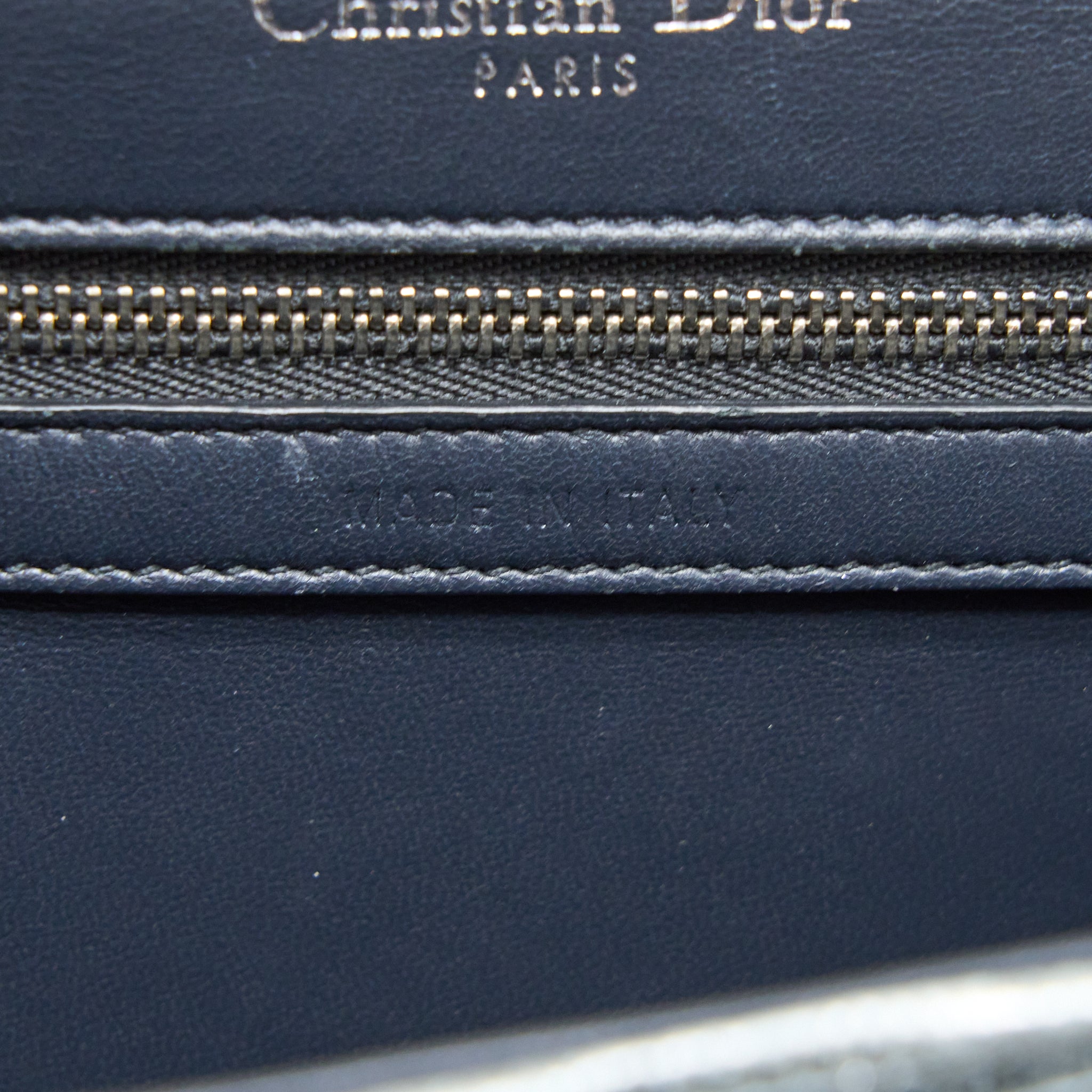 DIOR SMALL DIORAMA LIZARD METALLIC SILVER SHW