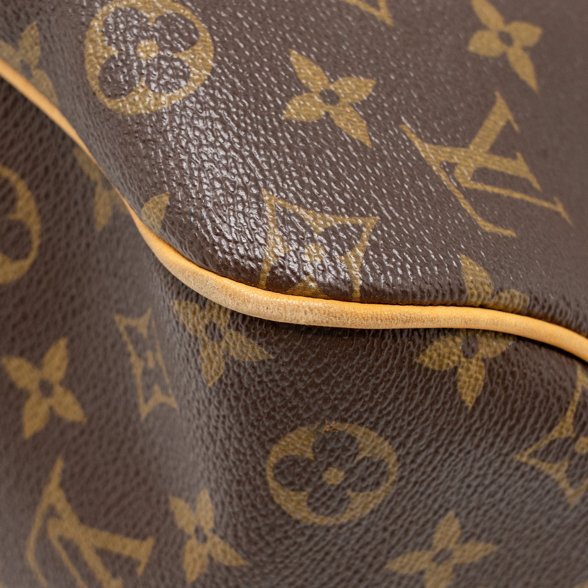 LOUIS VUITTON DELIGHTFUL TOTE BAG MONOGRAM CANVAS GHW