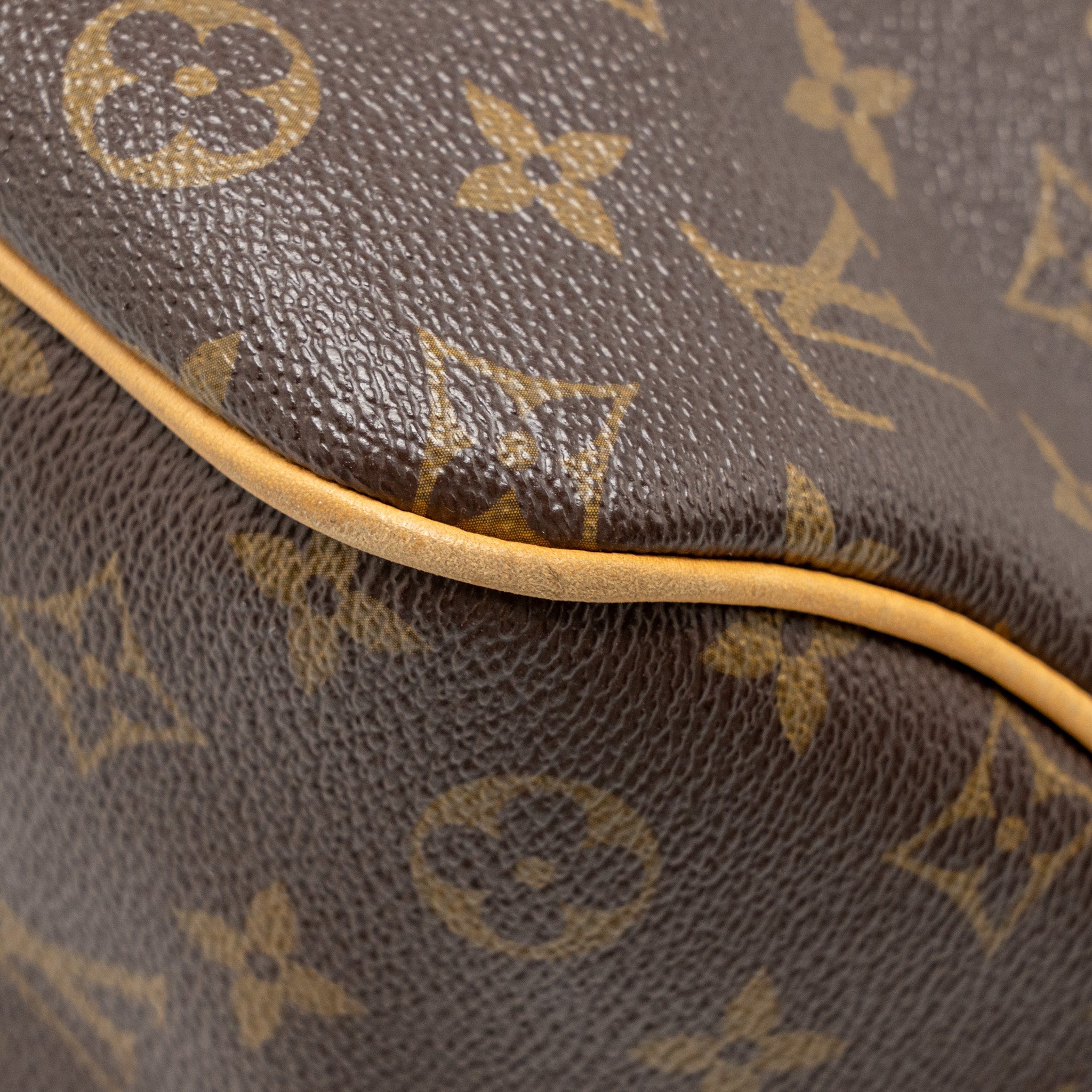 LOUIS VUITTON DELIGHTFUL TOTE BAG MONOGRAM CANVAS GHW