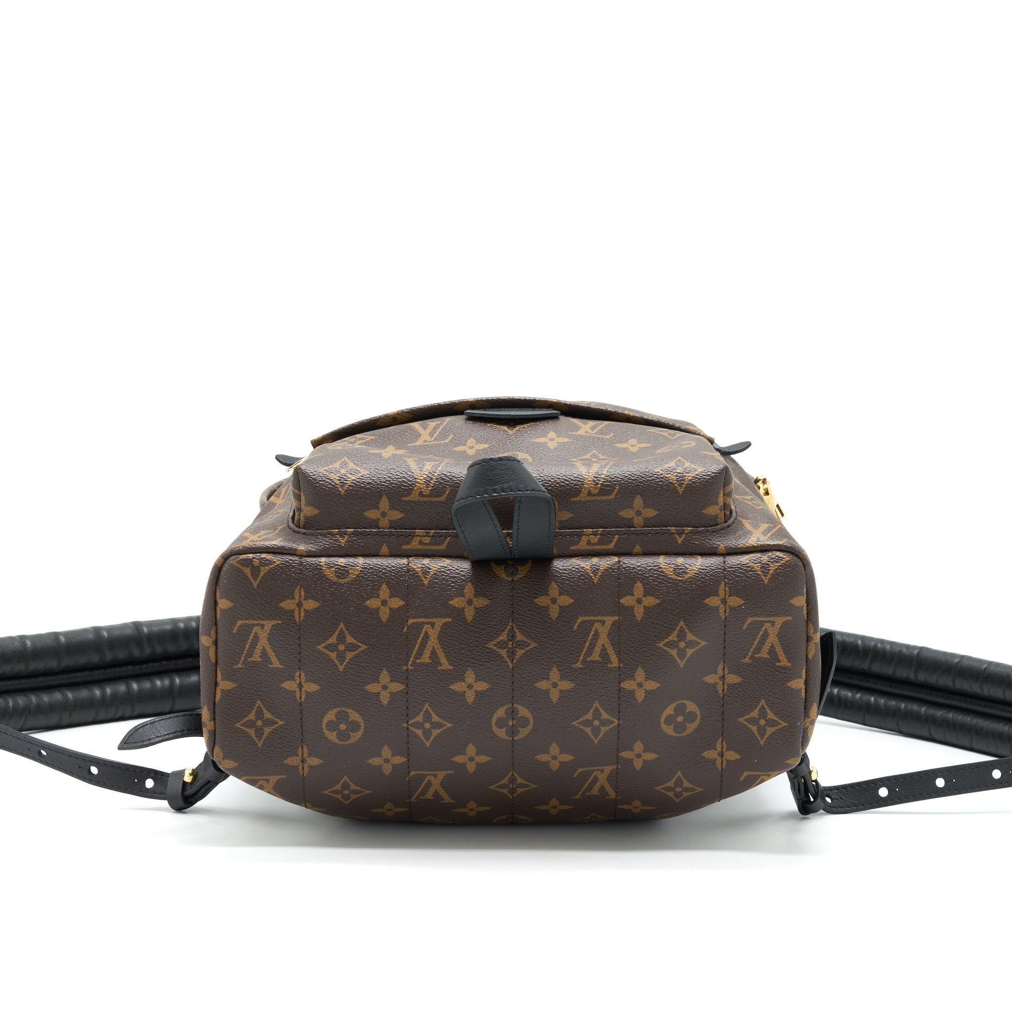 LOUIS VUITTON PALM SPRINGS MM MONOGRAM CANVAS GHW
