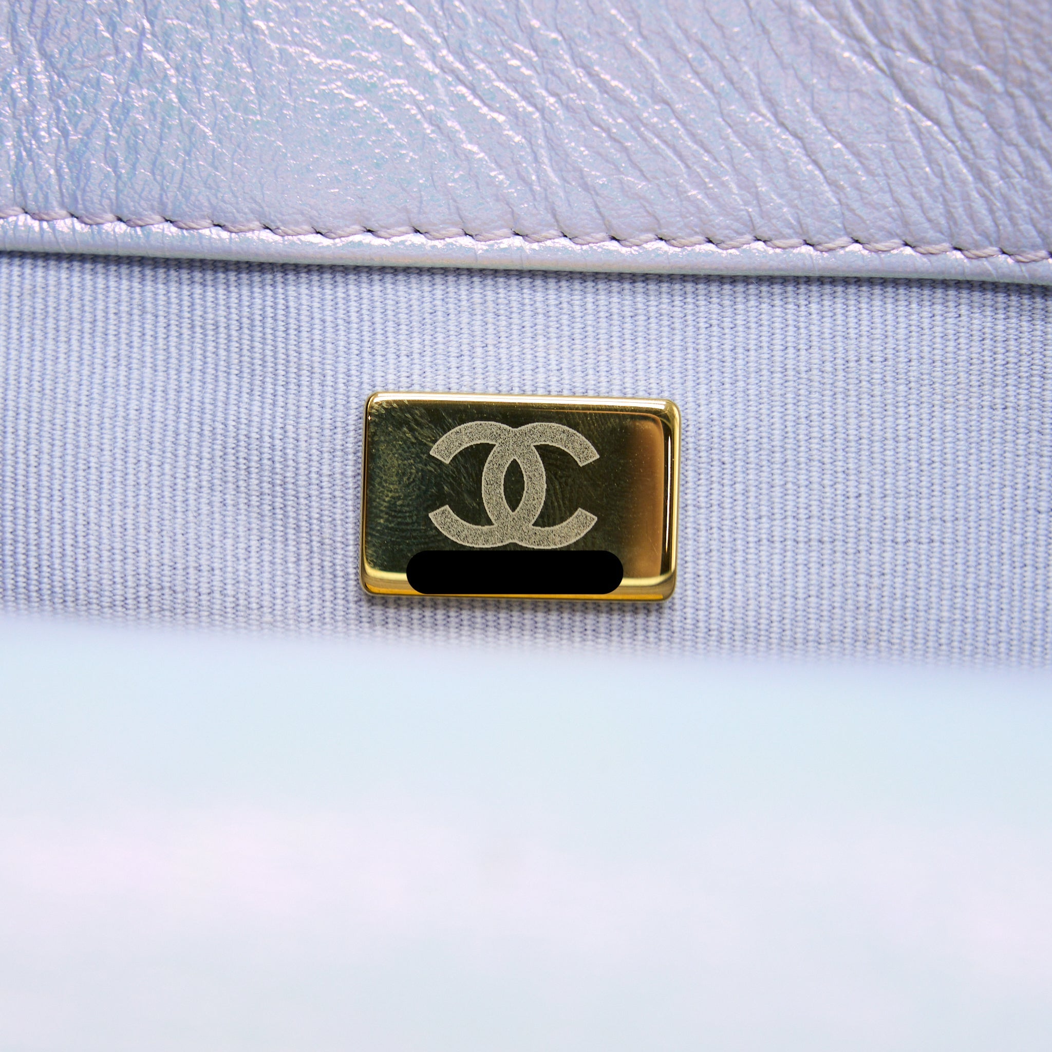 CHANEL SMALL 19 BAG GOATSKIN IRIDESCENT PURPLE MULTICOLOUR HARDWARE (MICROCHIP)