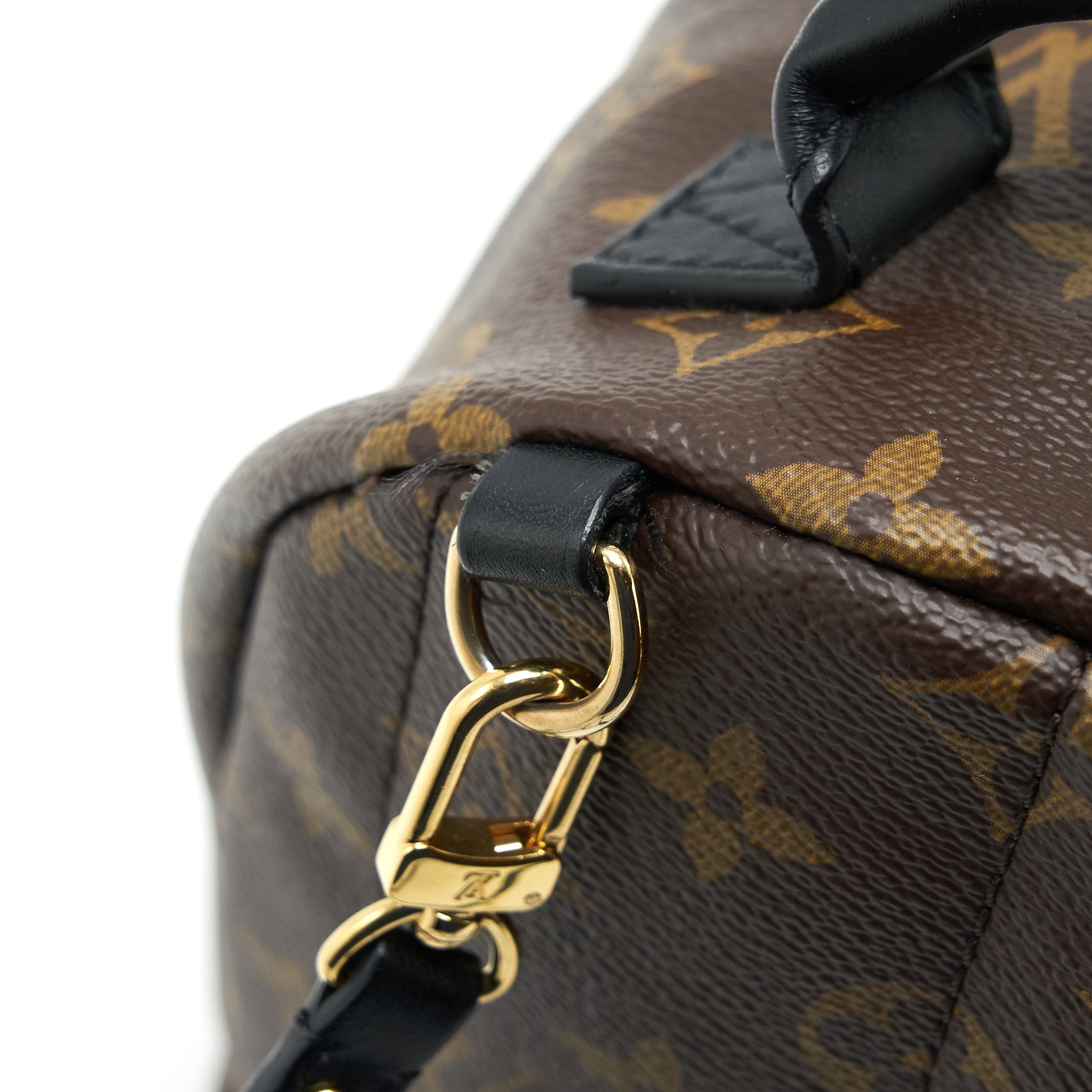 LOUIS VUITTON PALM SPRING MINI BACKPACK MONOGRAM CANVAS