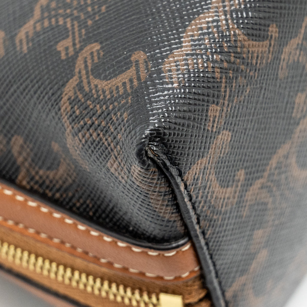 CELINE CLUTCH WITH CHAIN IN TRIOMPHE CANVAS / LAMBSKIN TAN GHW