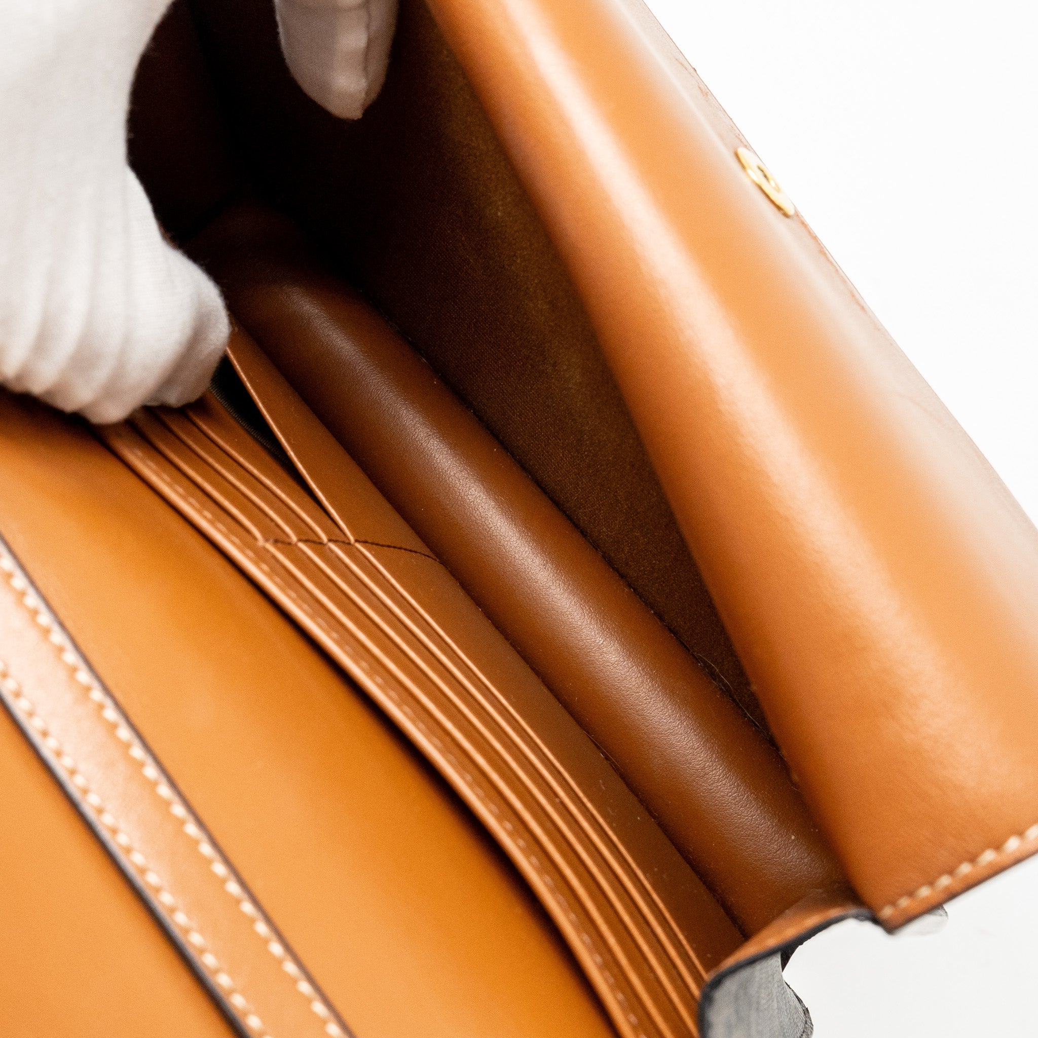 CELINE WALLET ON STRAP TRIOMPHE CANVAS/LAMBSKIN TAN GHW